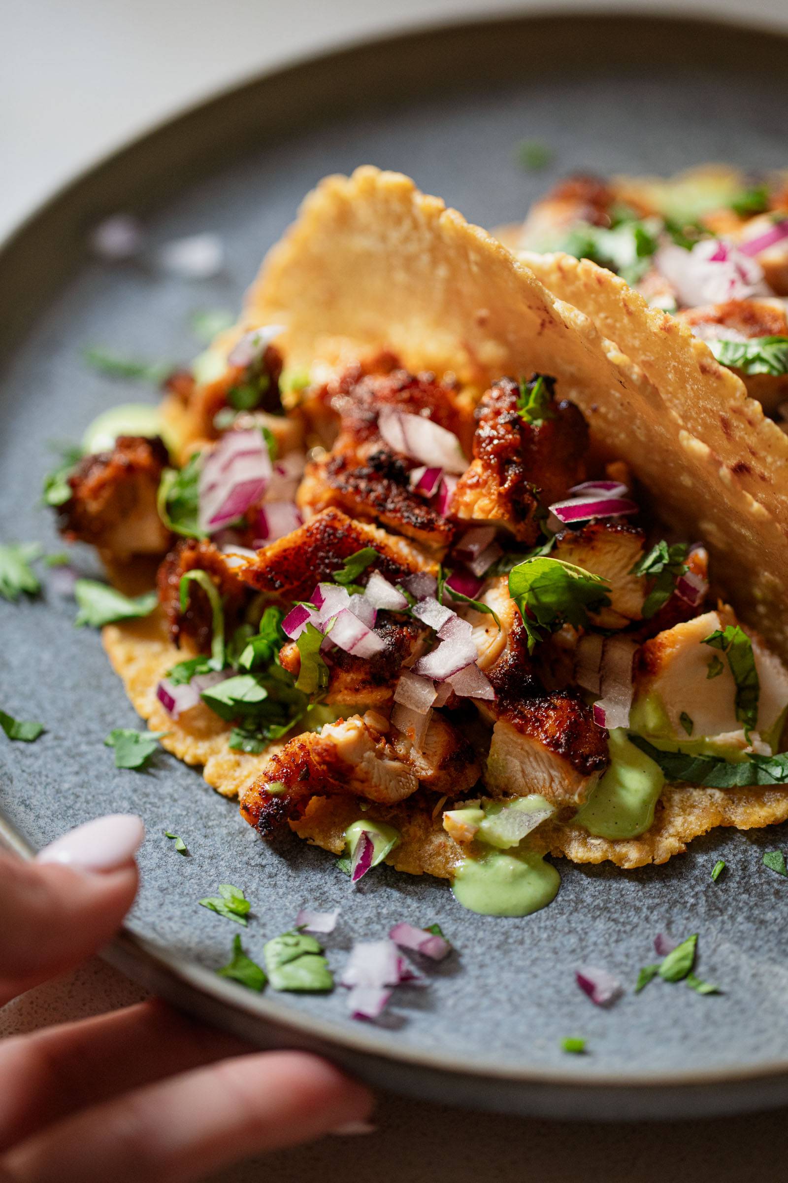 Taco Ayam yang Sangat Sedap dengan Sos Hijau
